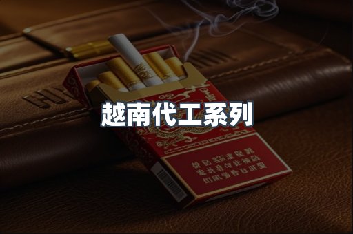 越南代工系列